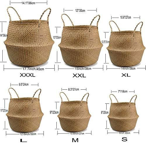 gio-coi-ms01-sp4 Nếu bạn đang ở chung cư và muốn decor lại ban công nhà bạn thì đừng quên trồng cây là một cách giúp cho ban công thêm tươi mới và nhà mình ở sẽ luôn có không khí xanh mát