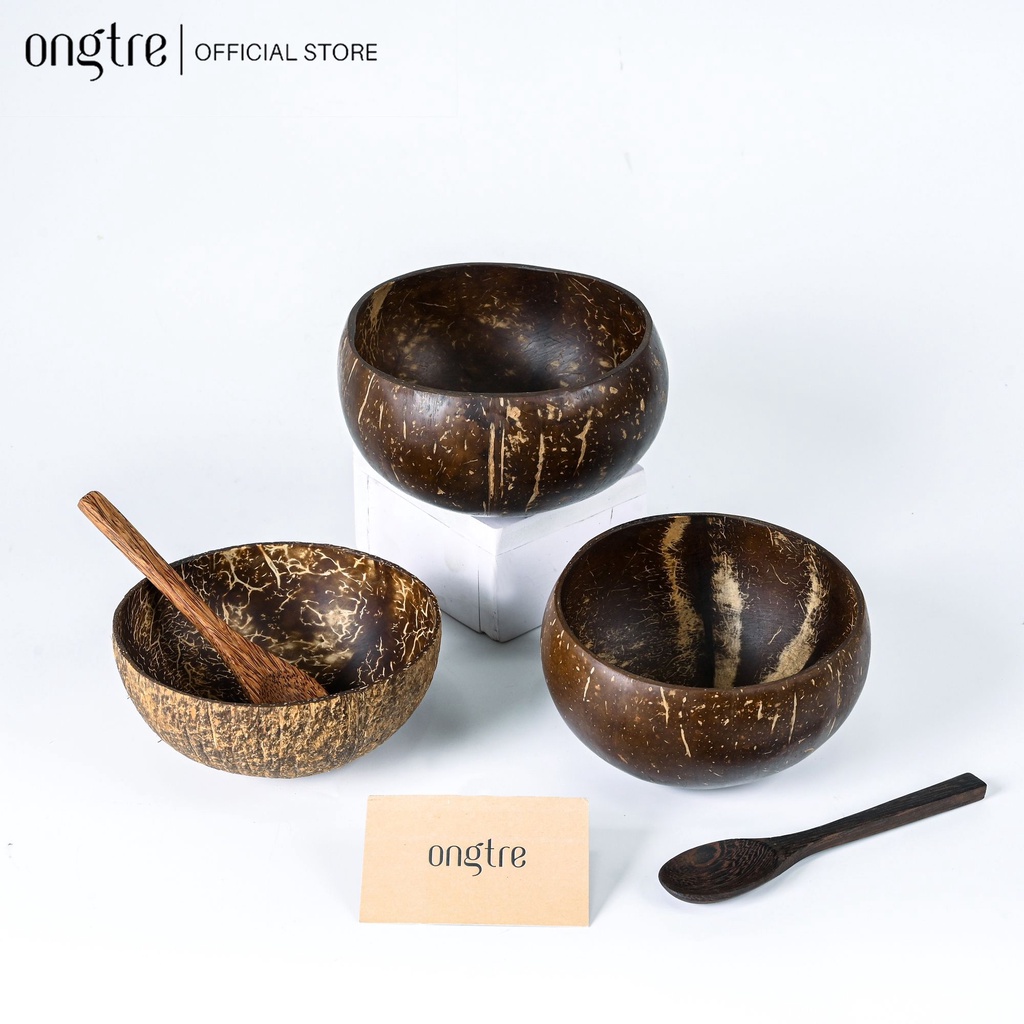 Top 10 món trang trí nhà cửa từ gỗ dừa
